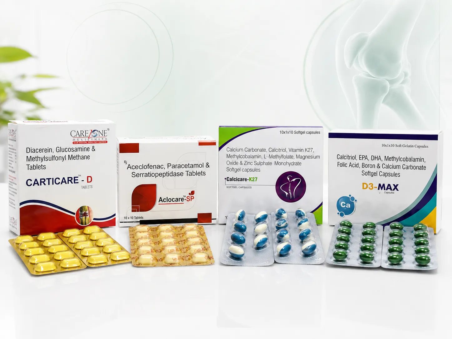 Carezone Healthcare orthopedic product range placeholder