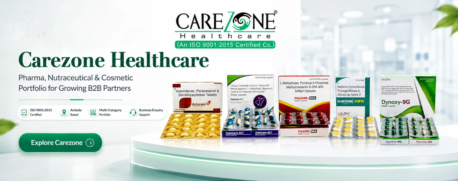 Carezone Healthcare company overview business and product portfolio